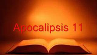 APOCALIPSIS completo Biblia hablada RV 1960 [upl. by Dlorej934]