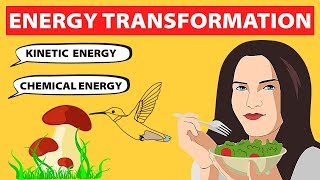 Energy Transformations  Physics [upl. by Mikkanen]