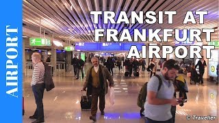 TRANSIT WALK AT FRANKFURT Airport FRA Terminal 1  Connection Flight Transfer Arriving amp Departing [upl. by Mccully]