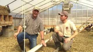 Poultry Experts Advice on Chicken Feeders [upl. by Eceerahs]