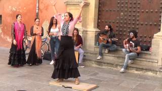 Flamenco dance 1 in Granada 2015 [upl. by Arney950]