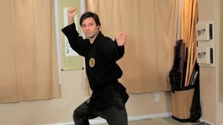 How to Do Basic Budo Taijutsu Postures  Ninjutsu Lessons [upl. by Meares]