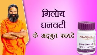 गिलोय घनवटी Giloy Vati के अद्भुत फायदे  Swami Ramdev [upl. by Tterrag362]