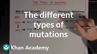 The different types of mutations  Biomolecules  MCAT  Khan Academy [upl. by Hairom]