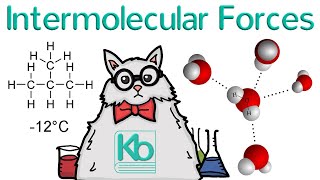 What are Intermolecular Forces [upl. by Annenn617]