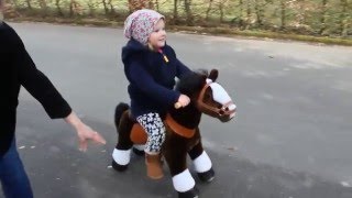 Ponycycle reiten  für echtes Reitgefühl [upl. by Nivets]