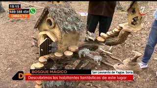 Un bosque encantado lleno de gnomos hadas y duendes  Castilla y León Directo [upl. by Phelgen]