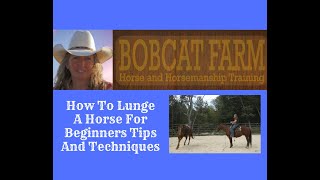 How To Lunge A Horse For Beginners Tips And Techniques [upl. by Evans]