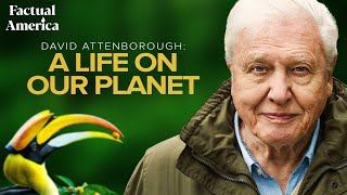 A Life on Our Planet Sir David Attenboroughs Witness Statement [upl. by Ahsaeit]