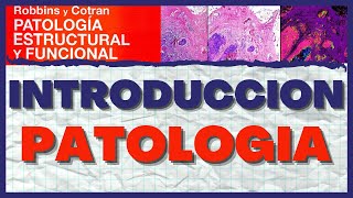 Fisiopatología de la pancreatitis aguda en 6 minutos [upl. by Mohkos]