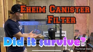 Eheim Canister Filter 350  1 Year Review [upl. by Olympie]