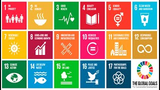 united nations 17 sustainable development goals  A simple introduction [upl. by Edgerton]