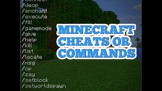 Minecraft Cheats or Commands [upl. by Alyse]